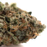 Humboldt Indoor THCa Flower with trichome-rich cannabis bud and vibrant orange pistils